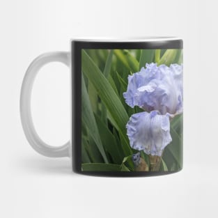 Fading Iris Mug